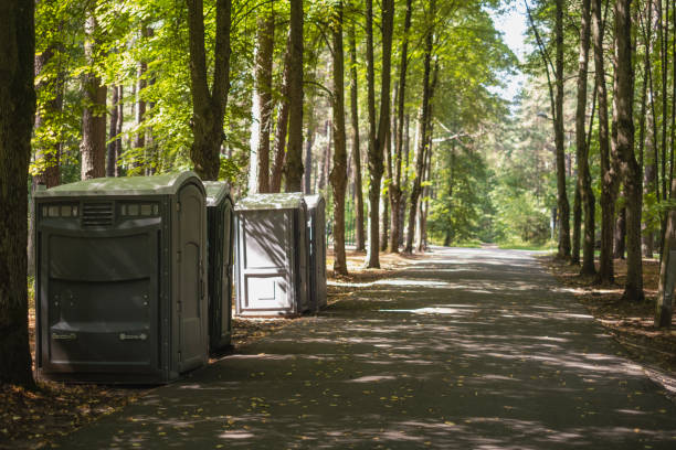 Best Affordable portable toilet rental  in St Marys, OH